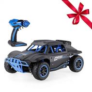 Blexy SZJJX Remote Control Cars Rock Off-Road Waterproof Vehicle Crawler Truck 2.4Ghz 2WD High Speed RC Cars 1:18 Radio Control Racing Buggy Electric Fast Race Hobby