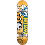 Blind Complete Skateboards