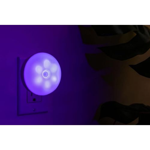  BlissLights BlissEmber - Color Changing LED Plug in Night Light, Motion Sensor, Compatible with Google Home and Alexa (1-Pack)