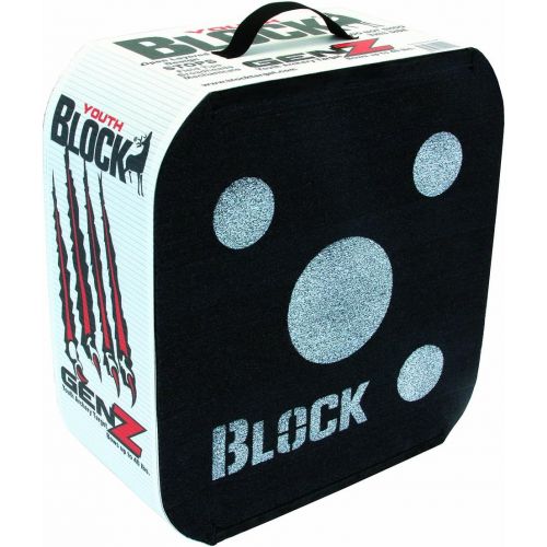  Block GenZ Youth Open Archery Arrow Target - Patented Open Layer Design, Easy Arrow Removal, Great Visibility, Lightweight, Easy to Transport, Two