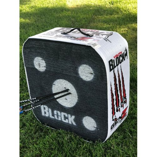  Block GenZ Youth Open Archery Arrow Target - Patented Open Layer Design, Easy Arrow Removal, Great Visibility, Lightweight, Easy to Transport, Two