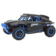 Blomiky D181 High Speed Racing Black Blue RC Trucks Remote Control Cars 1/18 Scale 4WD Toy Vehicle 30KMH+ Monster Electric Race Buggy Extra 2 Battery D181 Blue