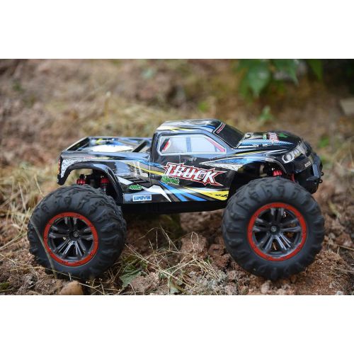  Blomiky 9125 Large Size 1/10 Scale 46KM/H High Speed IPX4 4WD RC Toys Trucks for Kids and Adults 9125 Black Blue