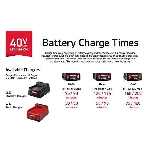  Oregon Cordless 40V B650E 6.0 Ah Lithium-Ion Battery Pack