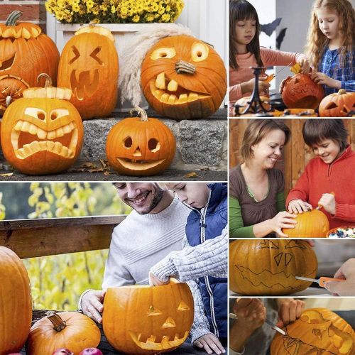  Halloween Pumpkin Carving Kit, Blovec 11 Pieces Professional Stainless Steel Pumpkin Carving Tools Easily Sculpting Halloween Jack-O-Lanterns with Carrying Case