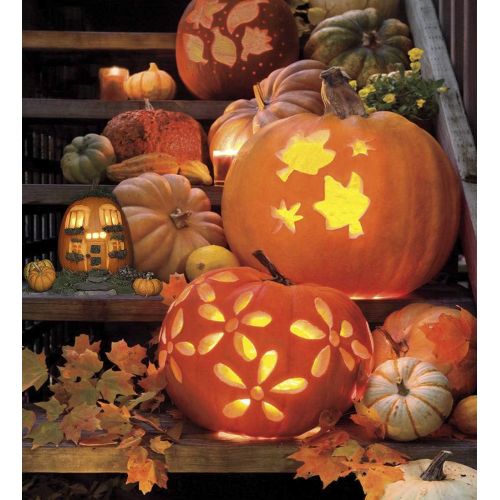  Halloween Pumpkin Carving Kit, Blovec 11 Pieces Professional Stainless Steel Pumpkin Carving Tools Easily Sculpting Halloween Jack-O-Lanterns with Carrying Case