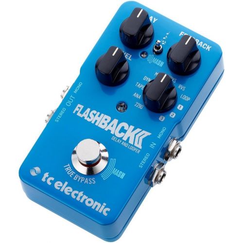  TC Electronic Flashback 2 Delay Pedal with TonePrint Bundle with Blucoil Power Supply Slim AC/DC Adapter for 9 Volt DC 670mA, 2-Pack of Pedal Patch Cables and 4-Pack of Celluloid G