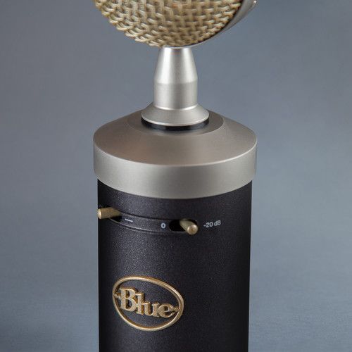  Blue Baby Bottle SL Large-Diaphragm Cardioid Condenser Microphone