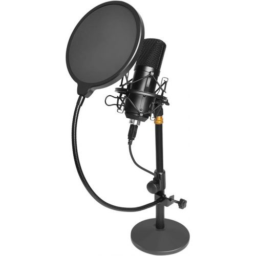  Blue Blackout Spark SL XLR Condenser Microphone with Pop Filter & 20 XLR Cable