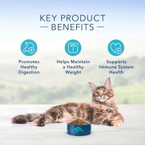  Blue Buffalo Indoor Health Natural Adult Dry Cat Food