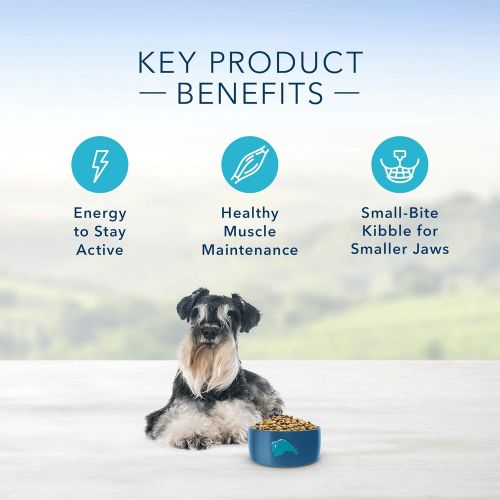  Blue Buffalo Life Protection Formula Natural Senior Small Breed Dry Dog Food