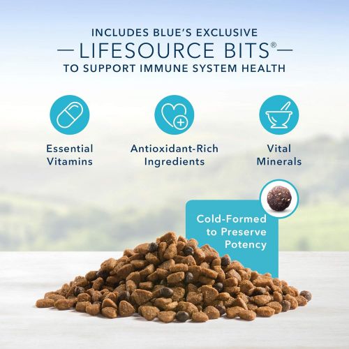  Blue Buffalo Life Protection Formula Natural Senior Small Breed Dry Dog Food