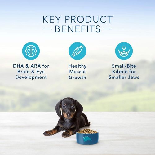  Blue Buffalo Life Protection Formula Natural Puppy Small Breed Dry Dog Food