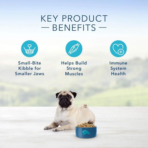  Blue Buffalo Life Protection Formula Natural Adult Small Bite Dry Dog Food