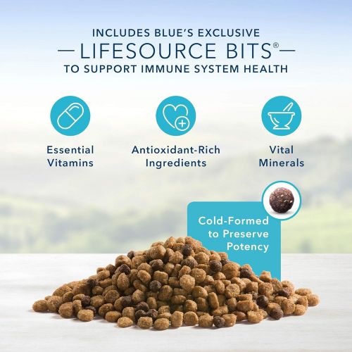  Blue Buffalo Life Protection Formula Natural Adult Small Bite Dry Dog Food