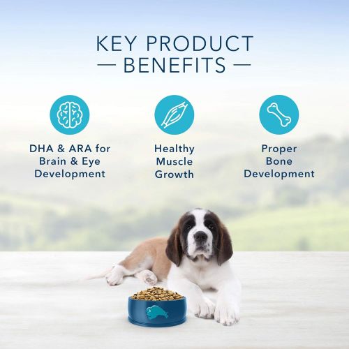  Blue Buffalo Life Protection Formula Natural Puppy Large Breed Dry Dog Food