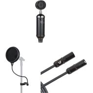 Blue Blackout Spark SL XLR Condenser Mic for Recording and Streaming with Cases Split Level Double Layered Pop Filter with Attachment Clamp & D'Addario American Stage Series Microphone Cable