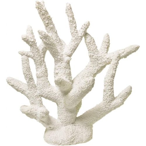  Blue Ribbon Exotic Environments Coral