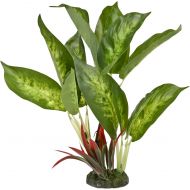 Blue Ribbon Pet Products 006113 Colorburst Florals Dieffenbachia Variegated Leaf-Green, Large