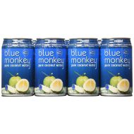Blue monkey Blue Monkey 100% Natural Coconut Water, 11.2-Ounce (Pack of 24)
