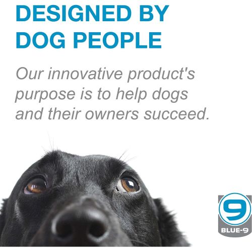  Blue-9 Pet Products The KLIMB Dog Training Platform and Agility System