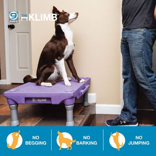  Blue-9 Pet Products The KLIMB Dog Training Platform and Agility System