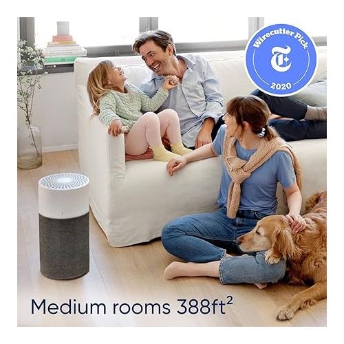  BLUEAIR Bedroom Air Purifier, Air Cleaner Dust Pet Dander Smoke Mold Pollen Bacteria Virus Allergen, Odor Removal, for Home Office Kitchen, Washable Pre Filter, HEPASilent, Medium Room, Blue 311 Auto