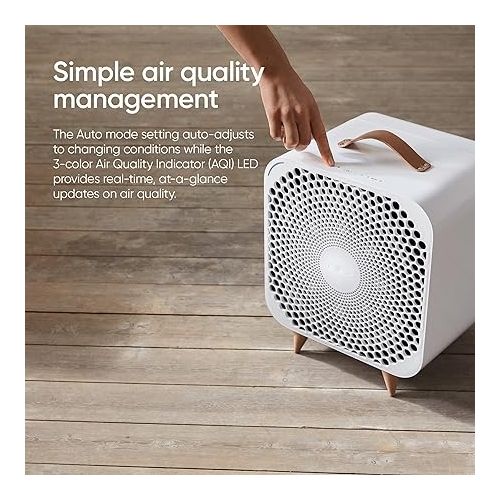  BLUEAIR Pure Fan Auto, 3-Speed HEPASilent Room Fan, Cools + Cleans, Removes Allergens Dust Pollen for Floor Table Desk and Bedrooms, White, Medium