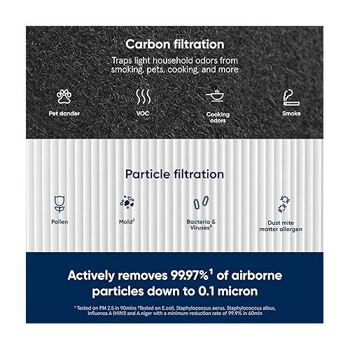  BLUEAIR Blue Pure 211+ Genuine Replacement Filter, Particle and Activated Carbon, Fits Blue Pure 211+ Air Purifier (Non-Auto)