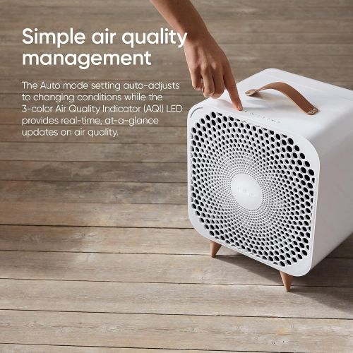  BLUEAIR Pure Fan Auto, 3-Speed HEPASilent Room Fan, Cools + Cleans, Removes Allergens Dust Pollen for Floor Table Desk and Bedrooms