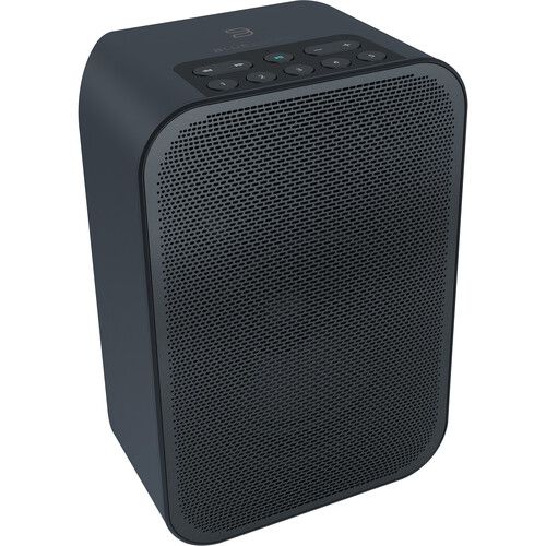  Bluesound PULSE FLEX 2i Wireless Speaker and Battery Pack Bundle (Matte Black / Black)