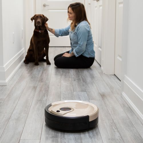  Bobsweep bObsweep Standard Robotic Vacuum Cleaner and Mop, Champagne
