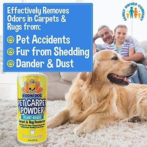  Bodhi Dog Natural Dog Odor Carpet Powder | Dry Pet Smell Neutralizer and Eliminator | Remove Urine Smells | Plant...