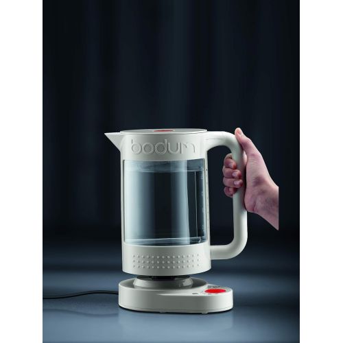  Bodum 11659-01US Bistro Electric Water Kettle, Double Wall with Temperature Control, 1.1 l, 37 oz, Black