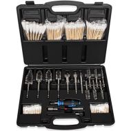 Bonbo Professional Diesel Injector-Seat Cleaning Kit 8090S on Cylinder Heads, Including Helix Brushes, Two-Stage Brushes, Bore Brushes and Swabs (Stainless Steel, 17-Pack)