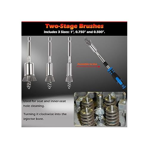  Bonbo Professional Diesel Injector-Seat Cleaning Kit 8090S on Cylinder Heads, Including Helix Brushes, Two-Stage Brushes, Bore Brushes and Swabs (Stainless Steel, 17-Pack)