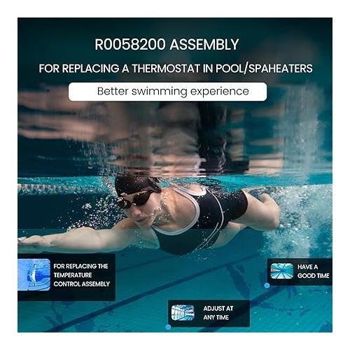  Bonbo R0058200 Teledyne Laars Temperature Control for Pools，Replace 47-295-1652, LAR-151-2555
