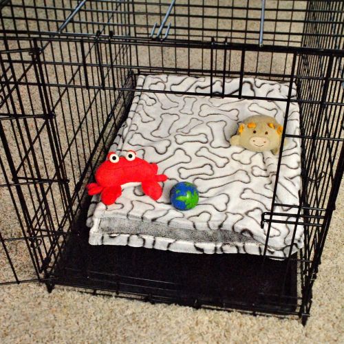  DII Bone Dry Microfiber Pet Blanket for Dogs and Cats, 36x48, Warm, Soft and Plush for Couch, Car, Trunk, Cage, Kennel, Dog House
