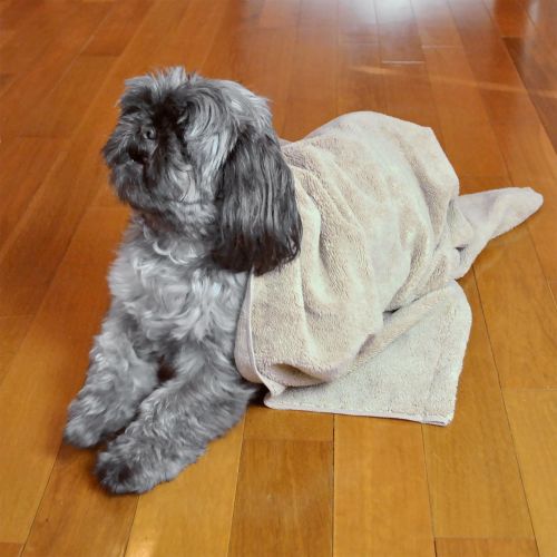  Bone Dry DII Microfiber Pet Bath Towel, Ultra-Absorbent & Machine Washable for Small, Medium, Large Dogs and Cats