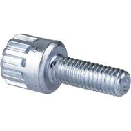 Bosch Parts 1609B01435 Lock Screw