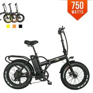 Bpmimports F-15X BPM 750watts 13ah +RACK Quality Fat Tire 48v Electric Bicycle Folding 20 Bike