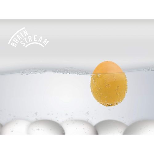  [아마존베스트]Brainstream Gockel PiepEi, Egg Timer for Boiling, Plays 3 Melodies for 3 Hardnesses, A005626