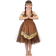Brand: Princess Paradise Deluxe Native American Princess Child Costume