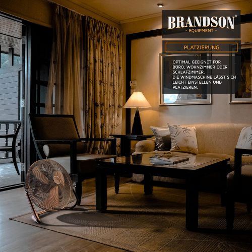  [아마존베스트]Brandson - Wind Machine Retro Style | Fan in Copper | Floor Fan 30 cm | Table Fan Floor Fan | High Air Flow | Robust Stand | Continuously Tilting Fan Head | Copper