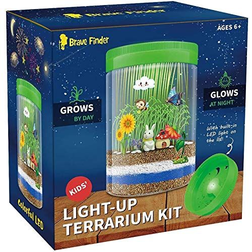  Brave Finder Light-up Terrarium Kit for Kids with Colorful LED on Lid - Kids Birthday Educational Gifts for Boys & Girls Mini Garden in a Jar Great Science Kits - Gardening Gifts for Children -