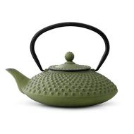 Bredemeijer bredemeijer Jing Teapot, 1.25-Liter, Green Cast Iron