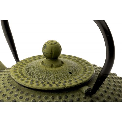  Bredemeijer bredemeijer Jing Teapot, 1.25-Liter, Green Cast Iron