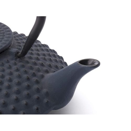  Bredemeijer bredemeijer Jing Teapot, 1.25-Liter, Blue Cast Iron