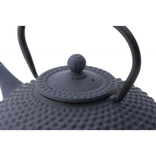  Bredemeijer bredemeijer Jing Teapot, 1.25-Liter, Blue Cast Iron