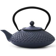 [아마존베스트]Bredemeijer Jing G002B Asian Teapot Cast Iron 1.25 Litre Pimple Structure Blue